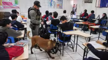 Unidad k9