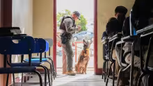 K-9