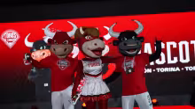 TOROS