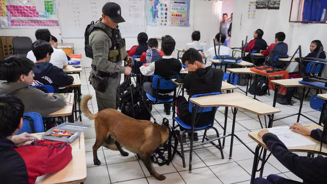 Unidad k9