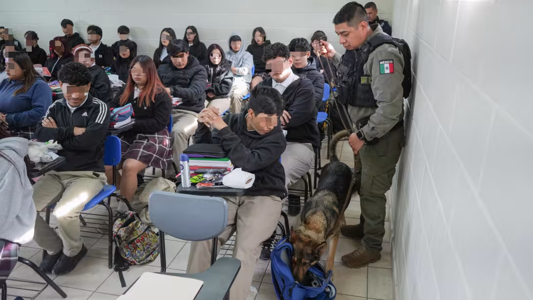 Prevención del Delito